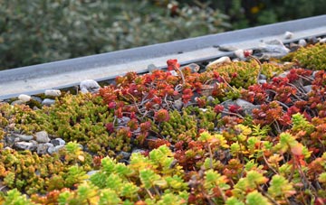 the cost of Stallen green roof installation