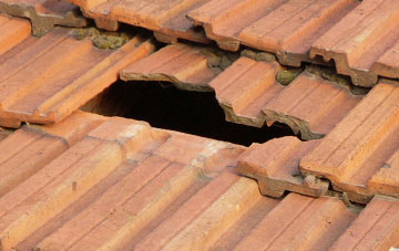 roof repair Stallen, Dorset