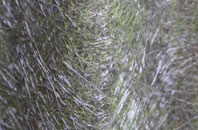 Stallen fibreglass roof work